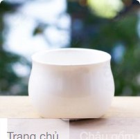 Chậu Gốm Sứ TR men sứ Bát Tràng